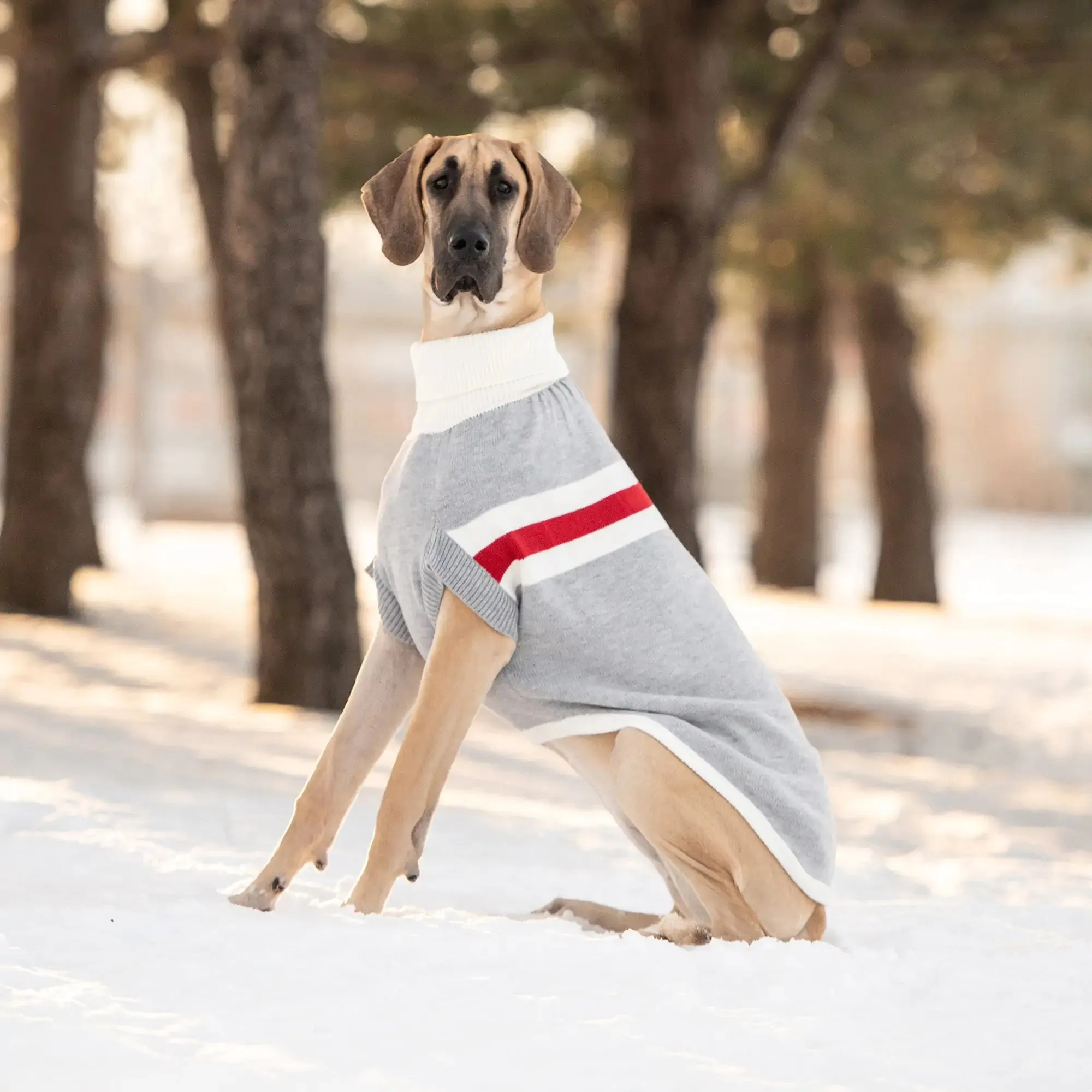 Dog Turtleneck Trekking Sweater - Grey Mix